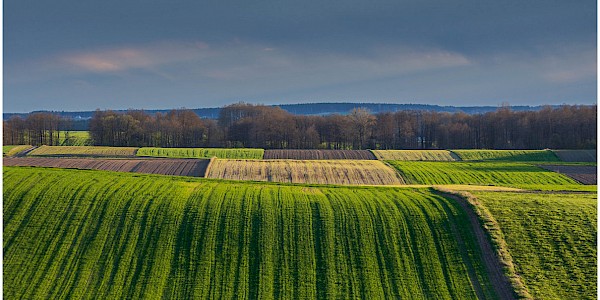 Wyniki wiosennej edycji konkursu fotograficznego "Gmina Piątnica - Cztery pory roku. Kalendarz 2022".