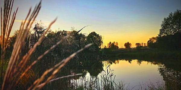 Konkurs foto / edycja "JESIEŃ" - wyniki